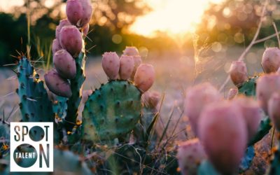 Texas economic update