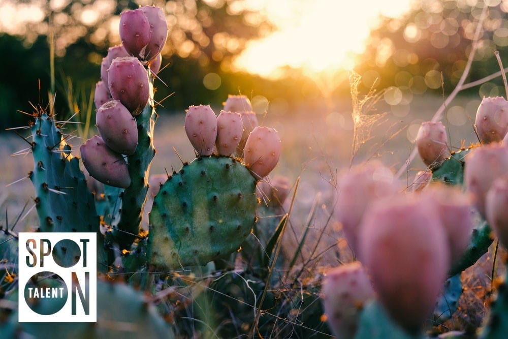 Texas economic update